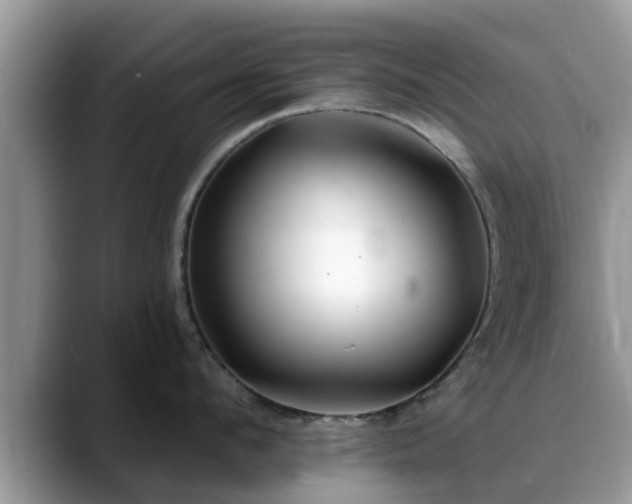 X0000088750912200706071718