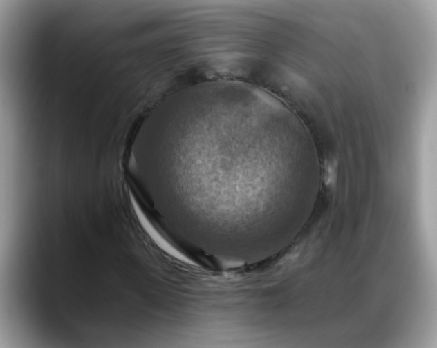X0000088750915200706071717
