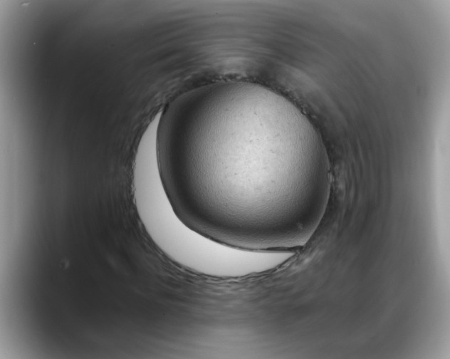 X0000088750916200706071717