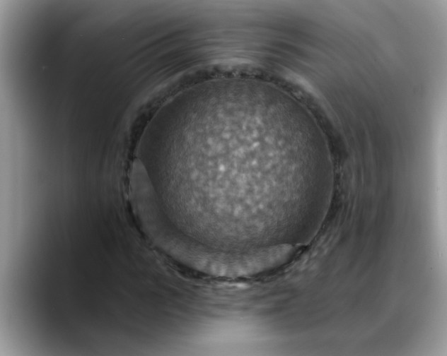 X0000088750919200706071717