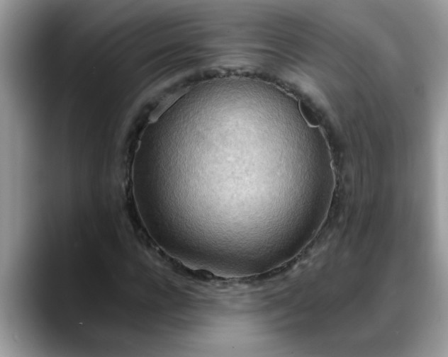 X0000088750920200706071717