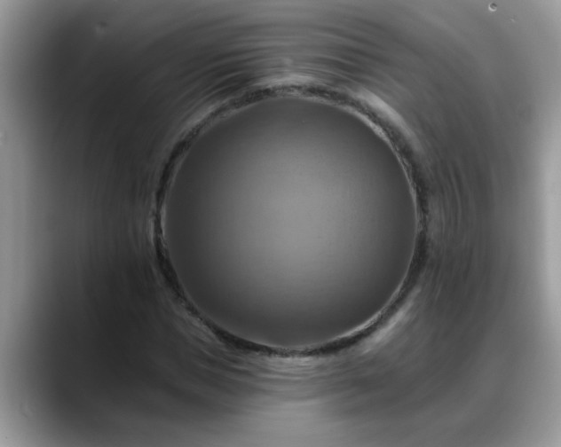 X0000088750921200706071717