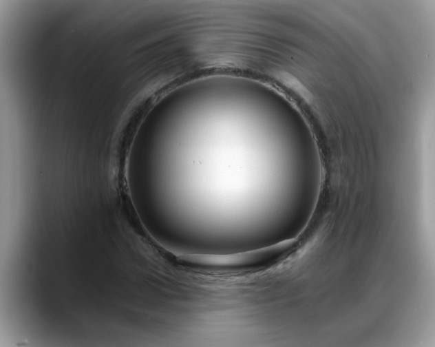 X0000088750922200706071717