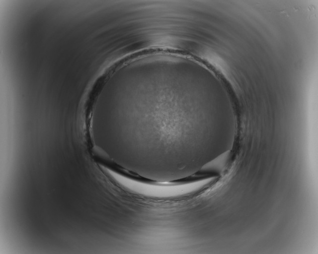 X0000088750923200706071717