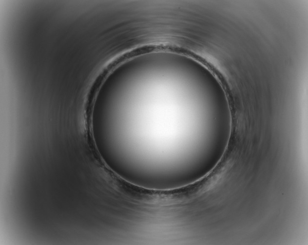 X0000088750927200706071717