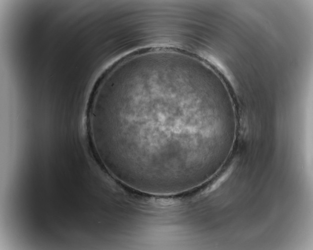 X0000088750928200706071717