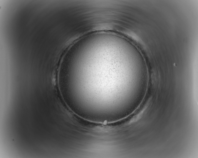 X0000088750929200706071717