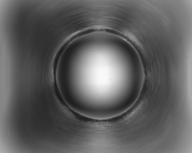 X0000088750934200706071717