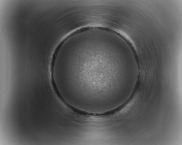 X0000088750935200706071717