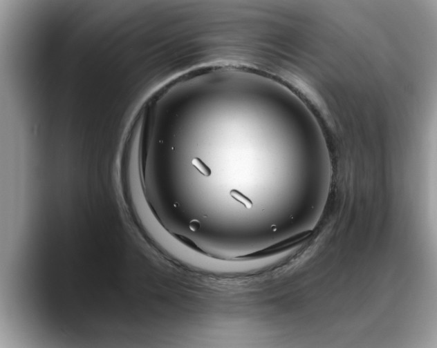 X0000088750936200706071717