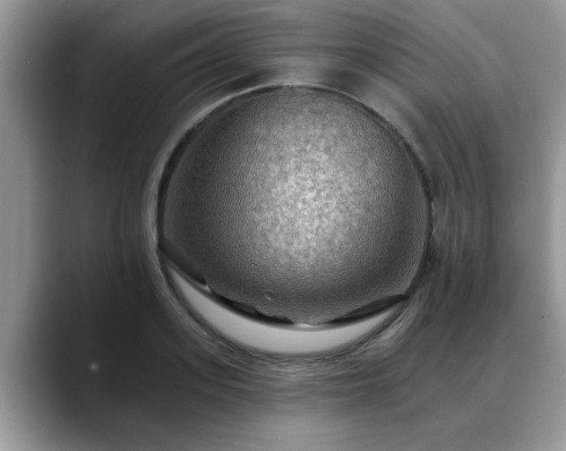 X0000088750939200706071717