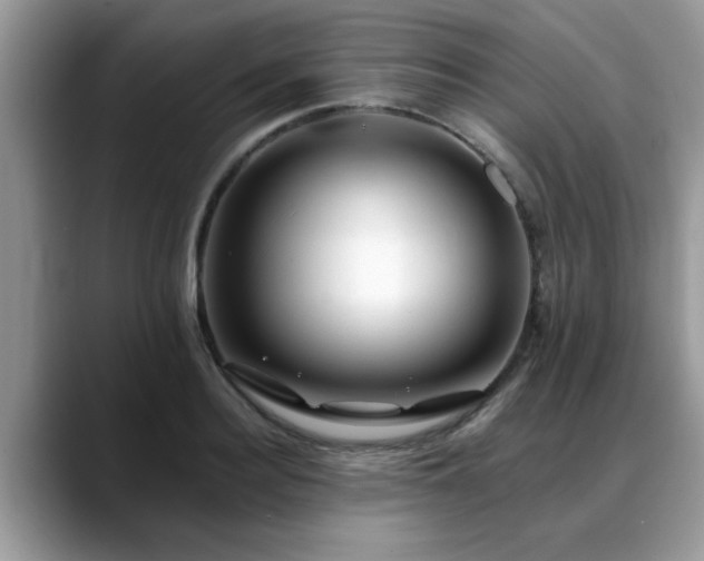 X0000088750940200706071717