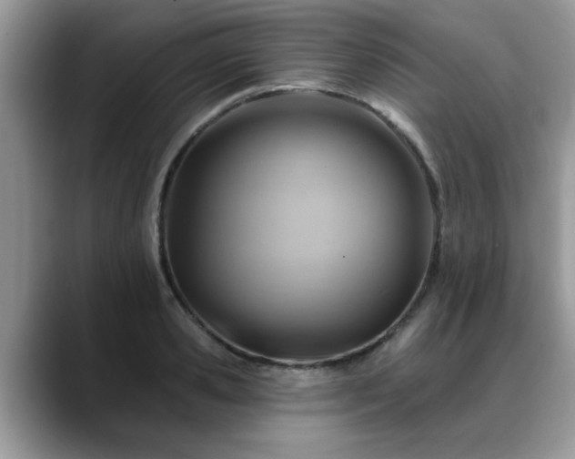 X0000088750941200706071717
