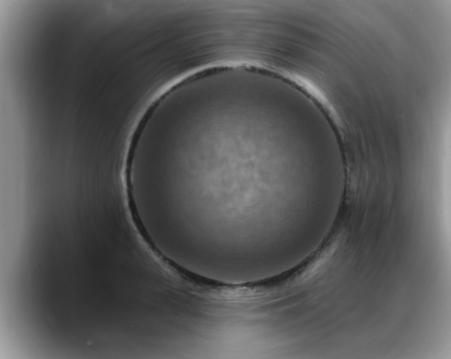 X0000088750943200706071717