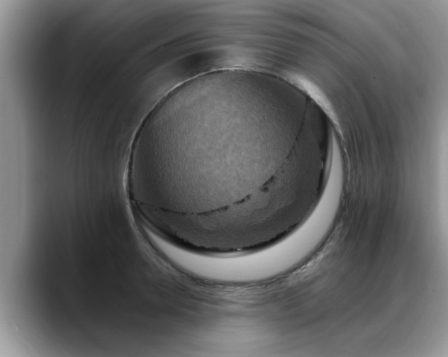 X0000088750946200706071717