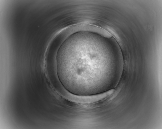 X0000088750948200706071717