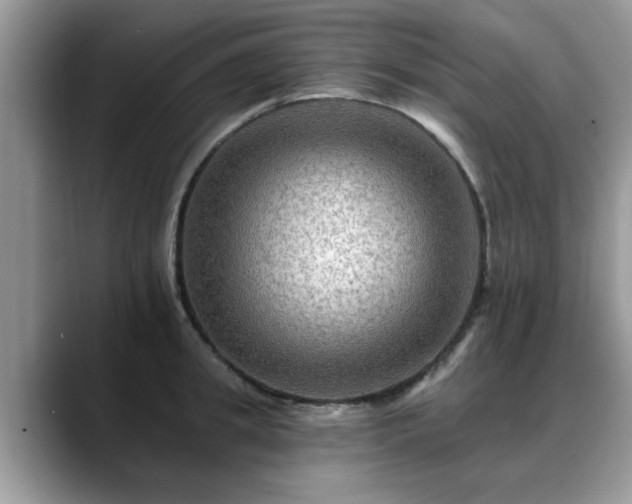 X0000088750949200706071717