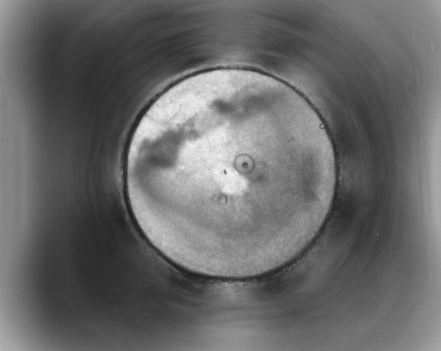 X0000088750950200706071717