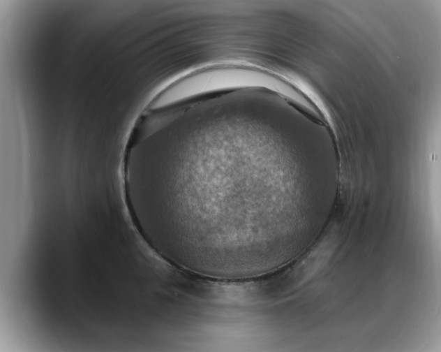 X0000088750951200706071717