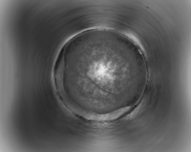 X0000088750952200706071717