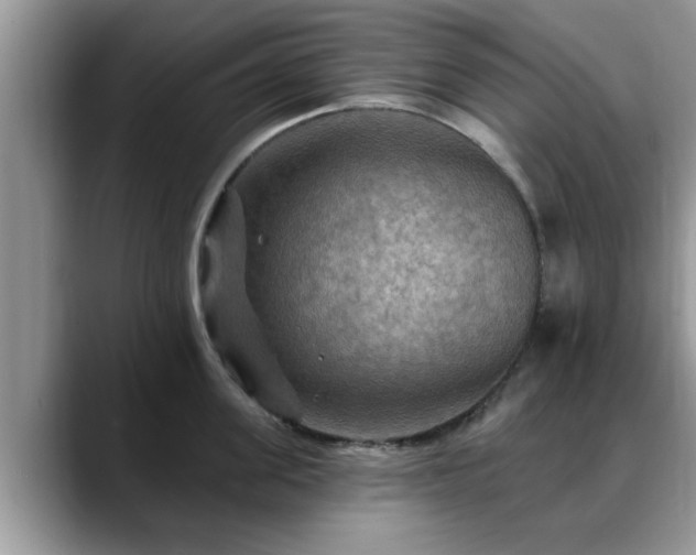 X0000088750955200706071718