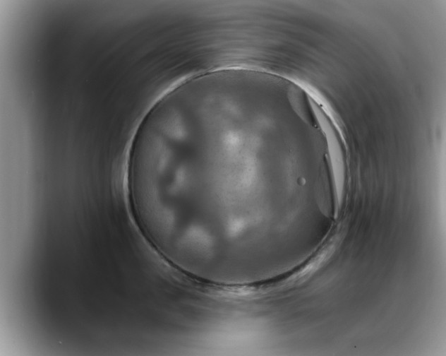 X0000088750957200706071718