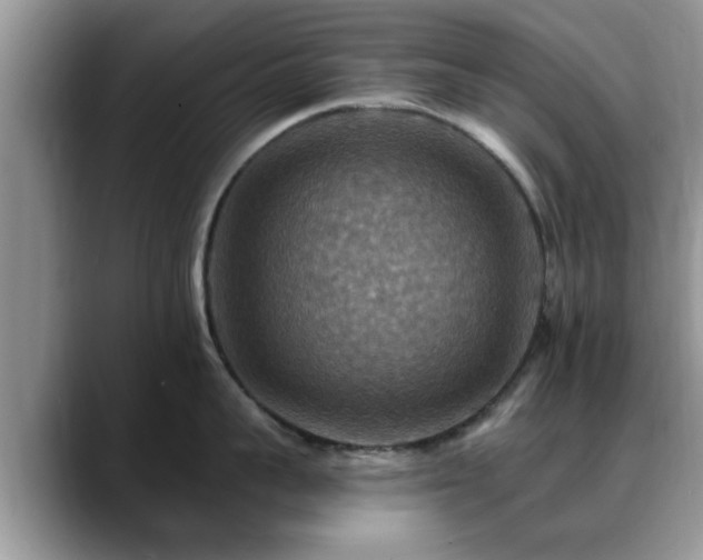 X0000088750959200706071718