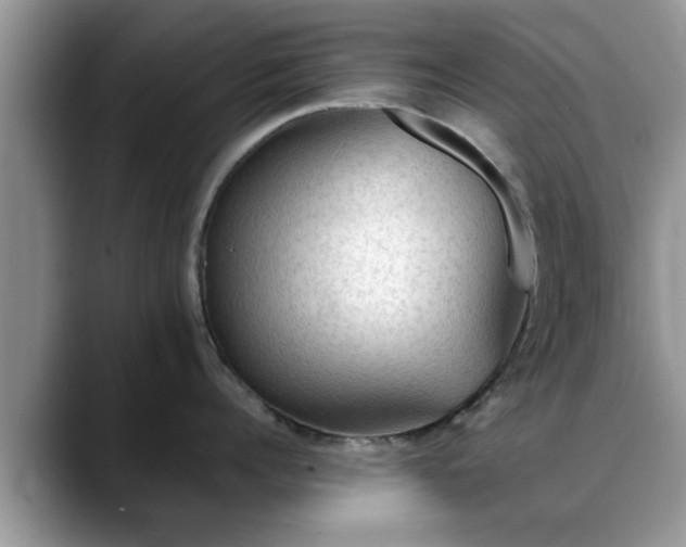 X0000088750960200706071718