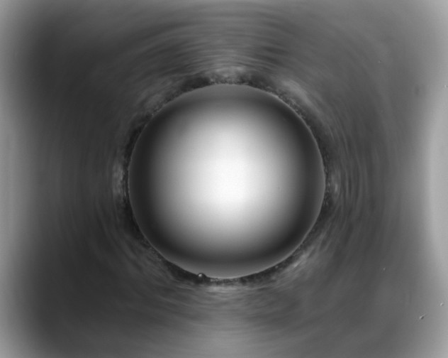 X0000088750964200706071717