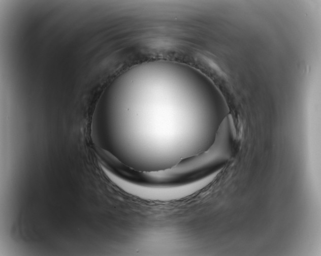 X0000088750965200706071717