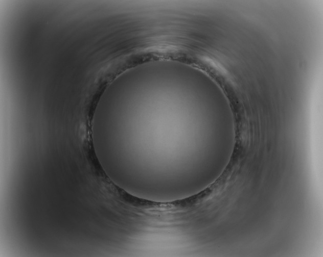 X0000088750966200706071717