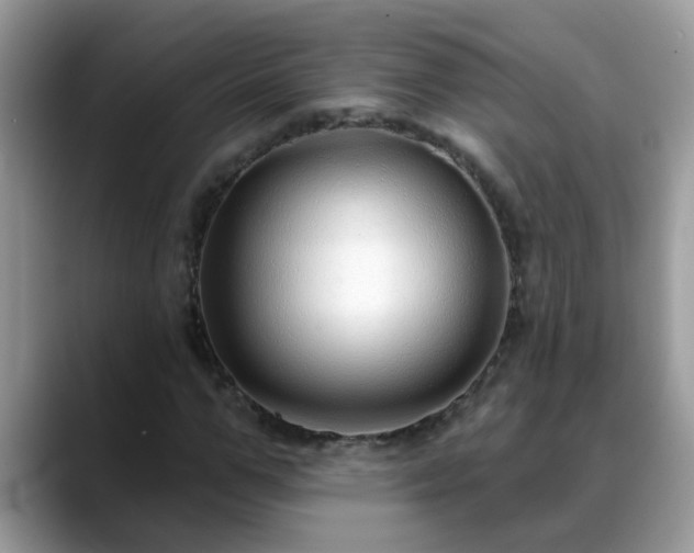 X0000088750967200706071717