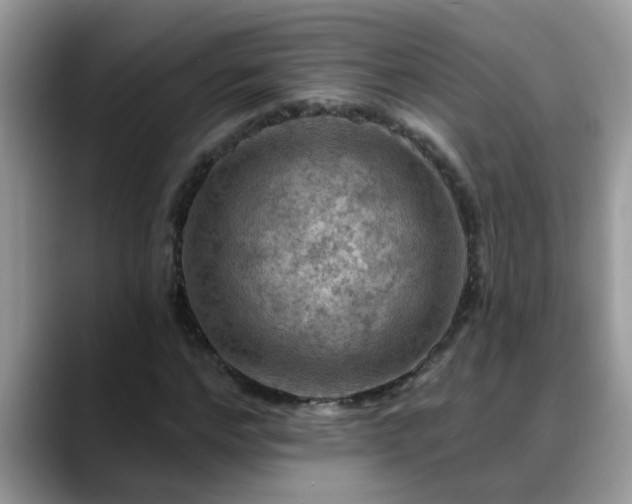 X0000088750968200706071717