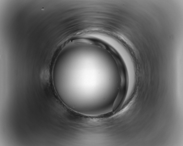 X0000088750969200706071717