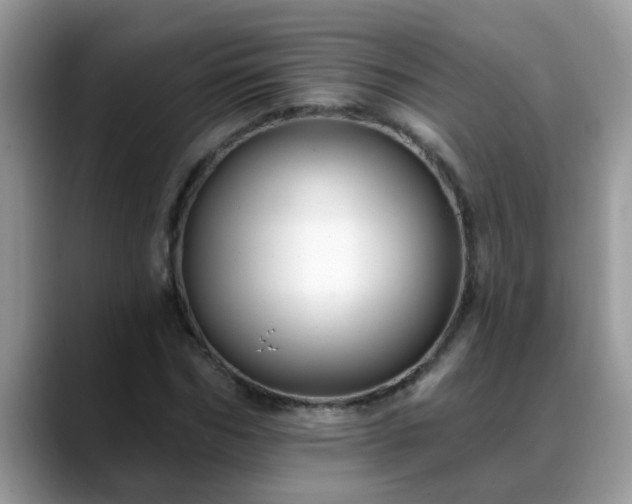 X0000088750970200706071717