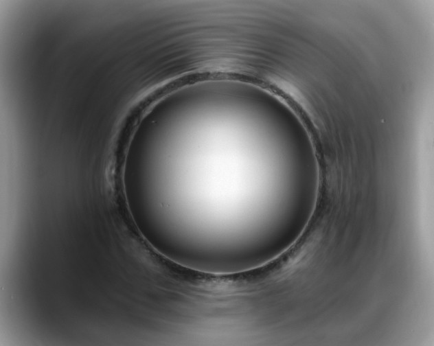 X0000088750971200706071717