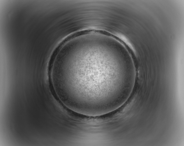 X0000088750972200706071717