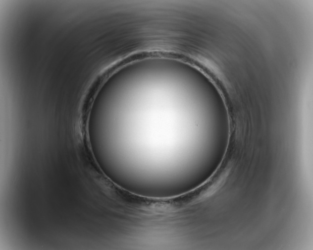 X0000088750974200706071717