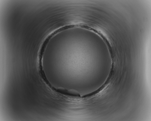 X0000088750975200706071717