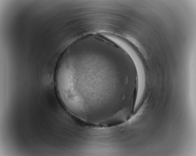 X0000088750977200706071717