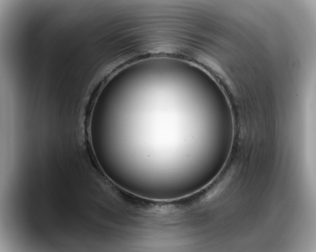 X0000088750978200706071717