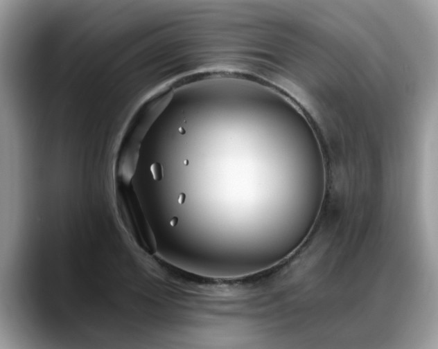 X0000088750980200706071717