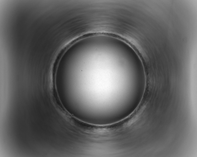 X0000088750982200706071717