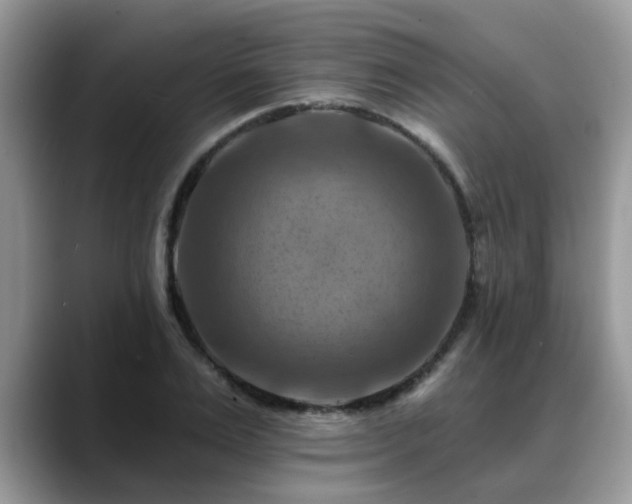 X0000088750983200706071717