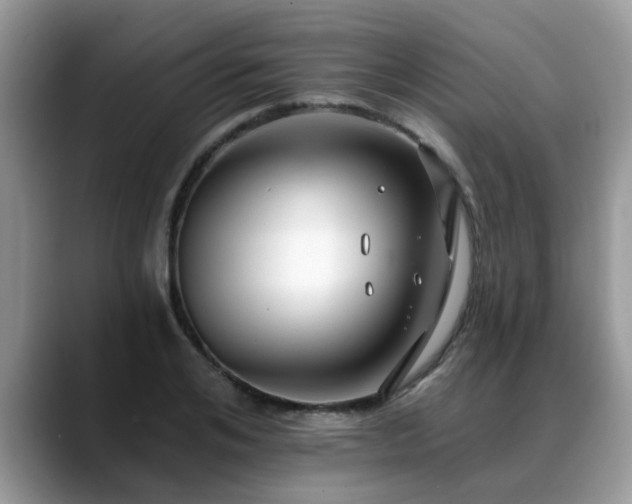 X0000088750984200706071717