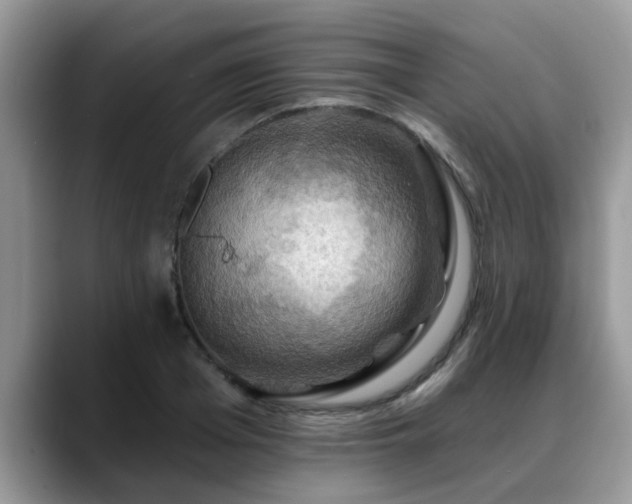 X0000088750985200706071717
