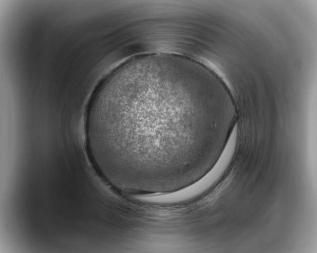 X0000088750987200706071717