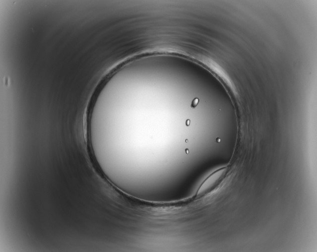 X0000088750988200706071717