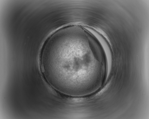 X0000088750989200706071717