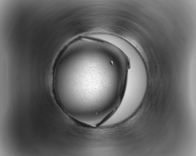 X0000088750992200706071717